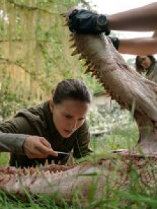 Annihilation 2018 tek part film izle