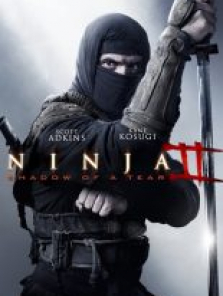 Ninja Shadow of a Tear tek part izle